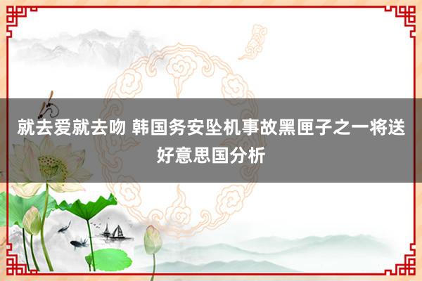 就去爱就去吻 韩国务安坠机事故黑匣子之一将送好意思国分析