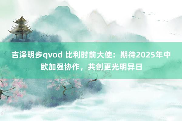 吉泽明步qvod 比利时前大使：期待2025年中欧加强协作，共创更光明异日