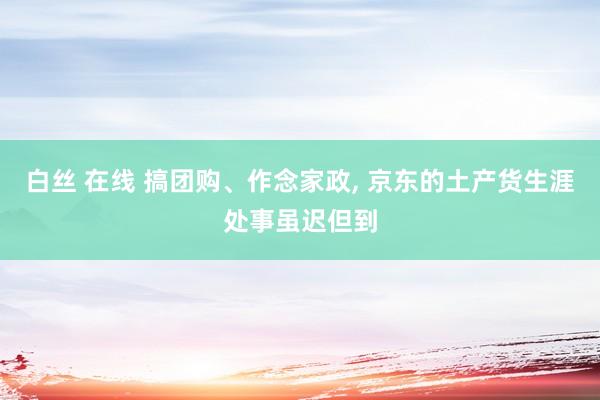 白丝 在线 搞团购、作念家政， 京东的土产货生涯处事虽迟但到