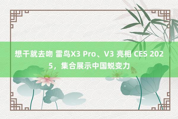 想干就去吻 雷鸟X3 Pro、V3 亮相 CES 2025，集合展示中国蜕变力