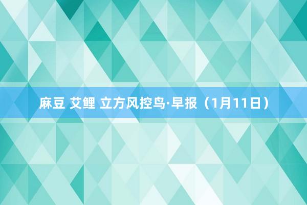 麻豆 艾鲤 立方风控鸟·早报（1月11日）