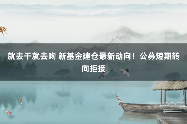 就去干就去吻 新基金建仓最新动向！公募短期转向拒接