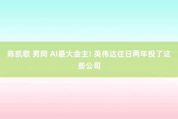 陈凯歌 男同 AI最大金主! 英伟达往日两年投了这些公司