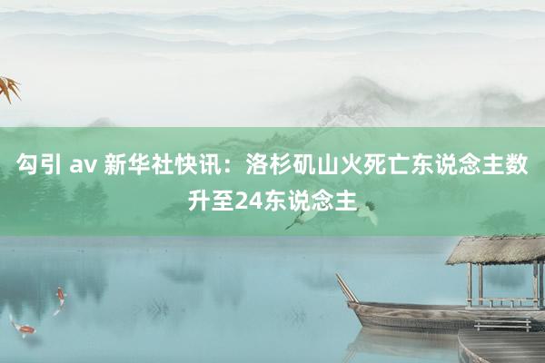 勾引 av 新华社快讯：洛杉矶山火死亡东说念主数升至24东说念主