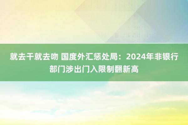 就去干就去吻 国度外汇惩处局：2024年非银行部门涉出门入限制翻新高