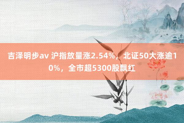 吉泽明步av 沪指放量涨2.54%，北证50大涨逾10%，全市超5300股飘红