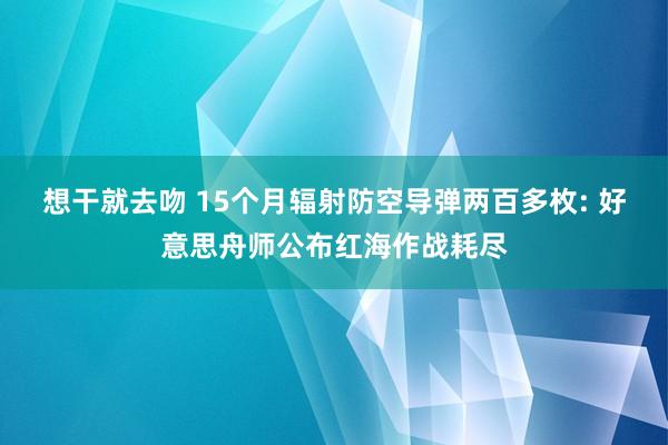 想干就去吻 15个月辐射防空导弹两百多枚: 好意思舟师公布红海作战耗尽