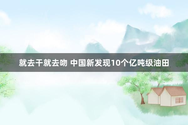 就去干就去吻 中国新发现10个亿吨级油田