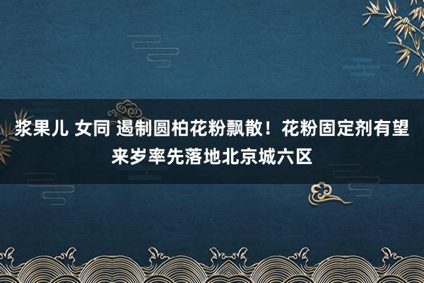 浆果儿 女同 遏制圆柏花粉飘散！花粉固定剂有望来岁率先落地北京城六区