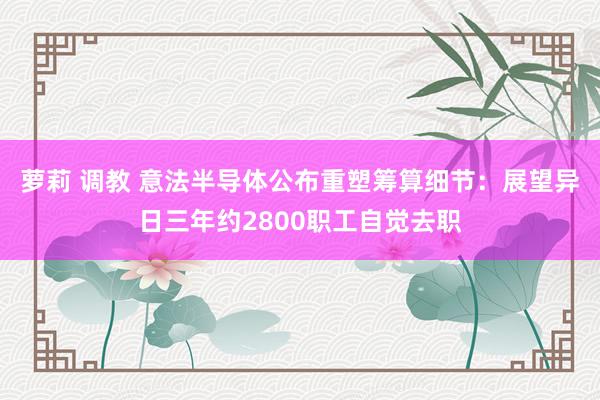 萝莉 调教 意法半导体公布重塑筹算细节：展望异日三年约2800职工自觉去职